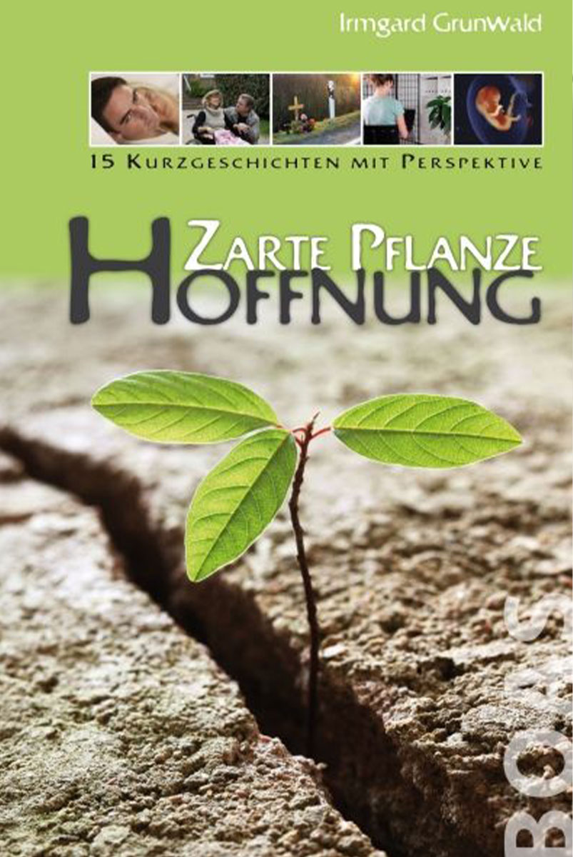 Zarte Pflanze Hoffnung (eBook)